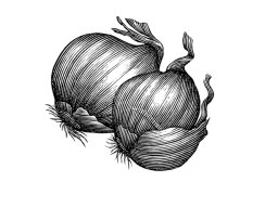 shallots art